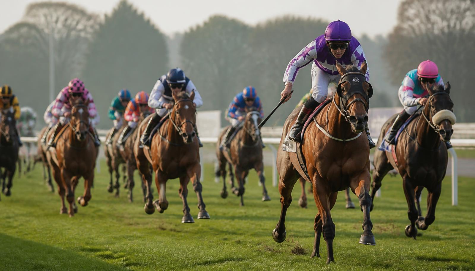 Racing at Bangor-on-Dee